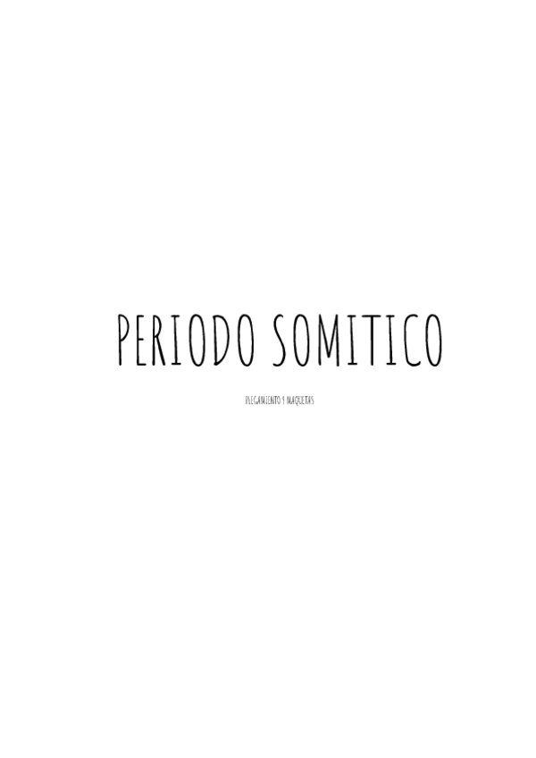 Miniatura del documento PERIODO-SOMITICO.pdf