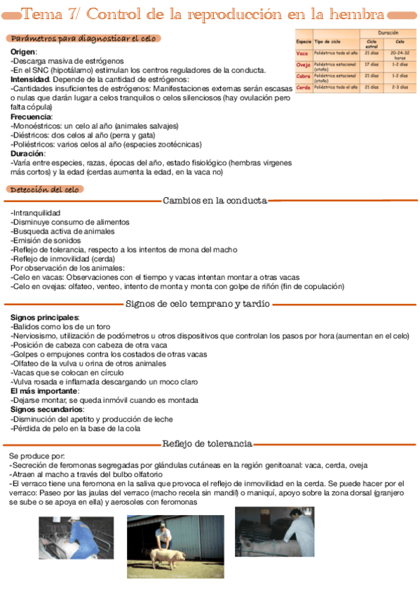 Miniatura del documento Tema-7.pdf