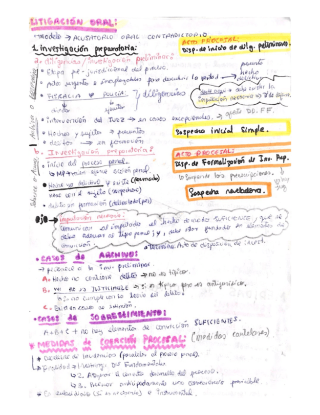 Miniatura del documento LITIGACION-ORAL-APUNTES-DE-CLASES.pdf