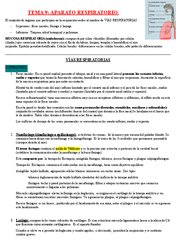 Miniatura del documento TEMA-9-APARATO-RESPIRATORIO.pdf