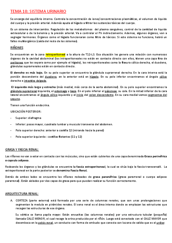 Miniatura del documento T-10-Sistema-Urinario.pdf