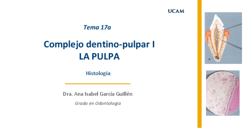 Miniatura del documento Tema-17-Histologia-A.pdf