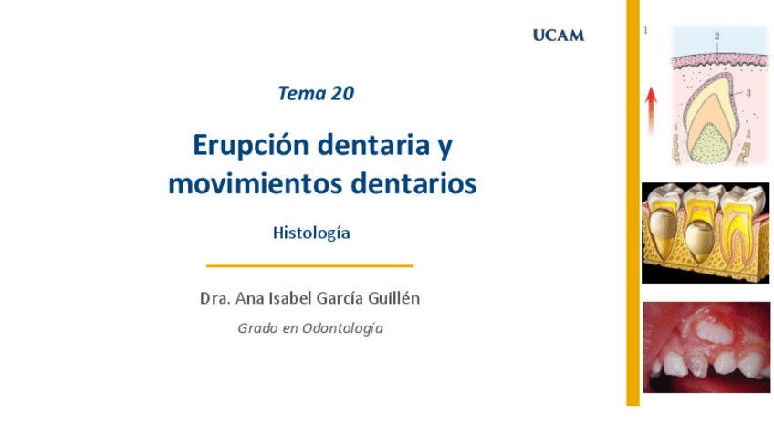 Miniatura del documento Tema-20-Histologia.pdf