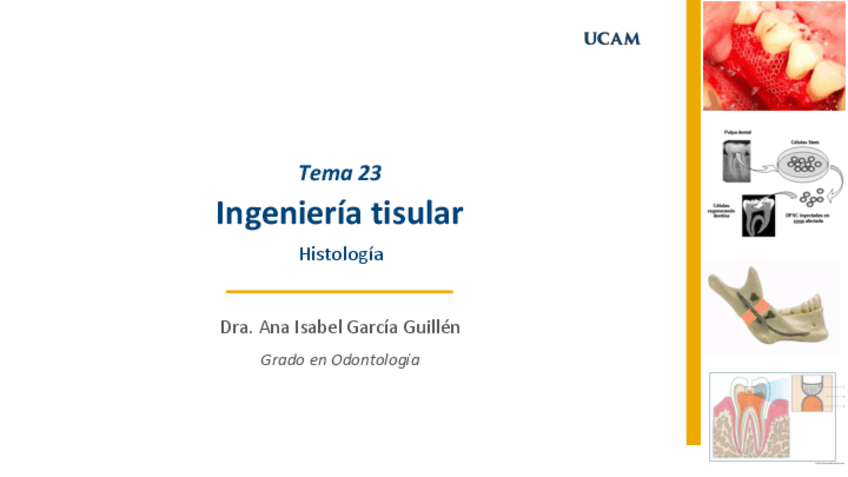 Miniatura del documento Tema-23.-Ingenieria-tisular.-Histologia.pdf
