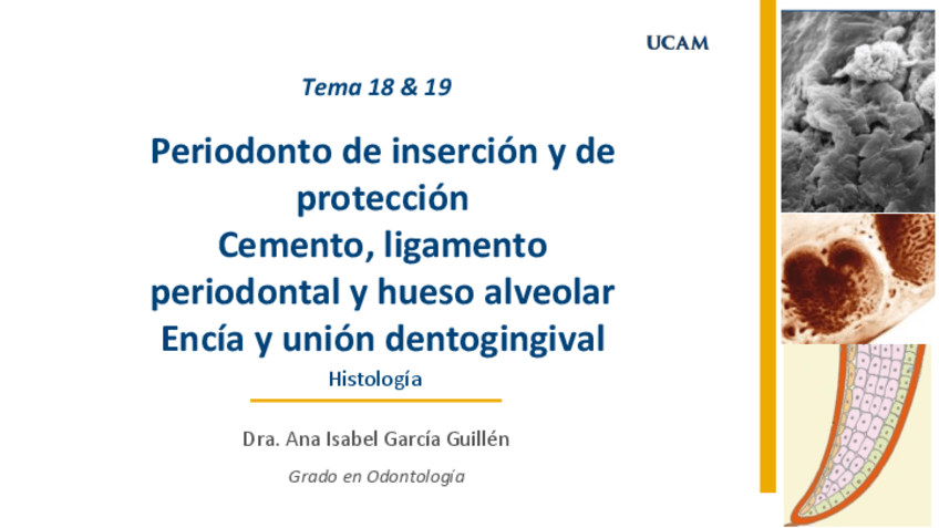 Miniatura del documento Temas-18-y-19-B-Histologia.pdf