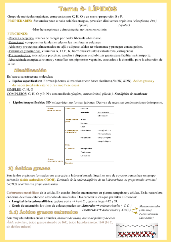 Miniatura del documento Tema-4-Lípidos-2oBachillerato.pdf