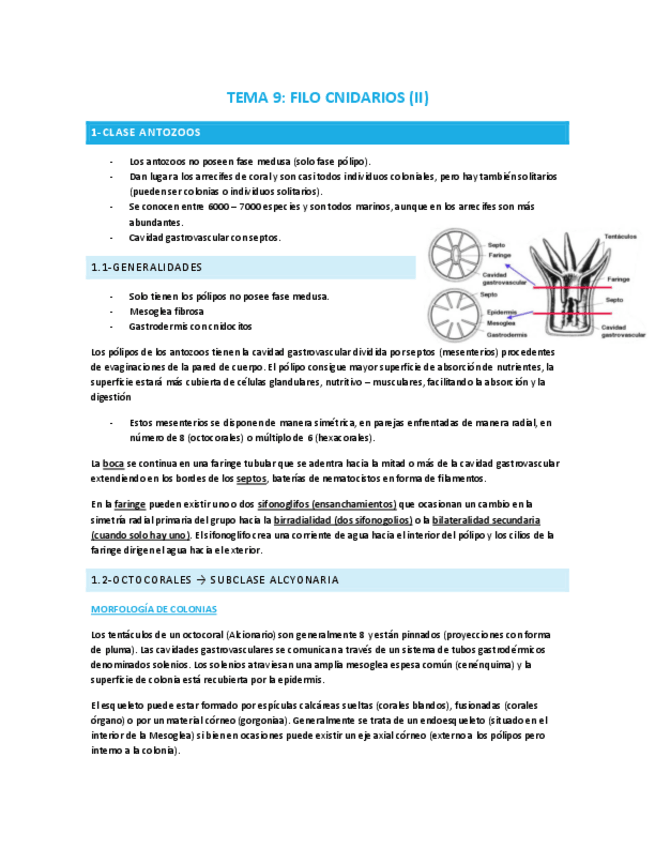 Miniatura del documento TEMA-9-Filo-cnidarios-II.pdf