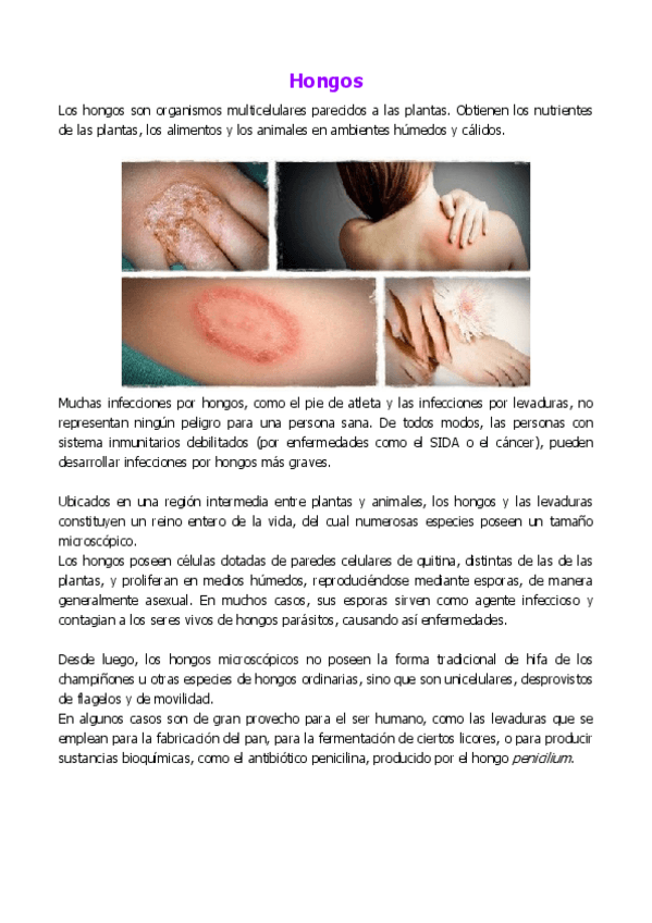 Miniatura del documento Hongos.pdf