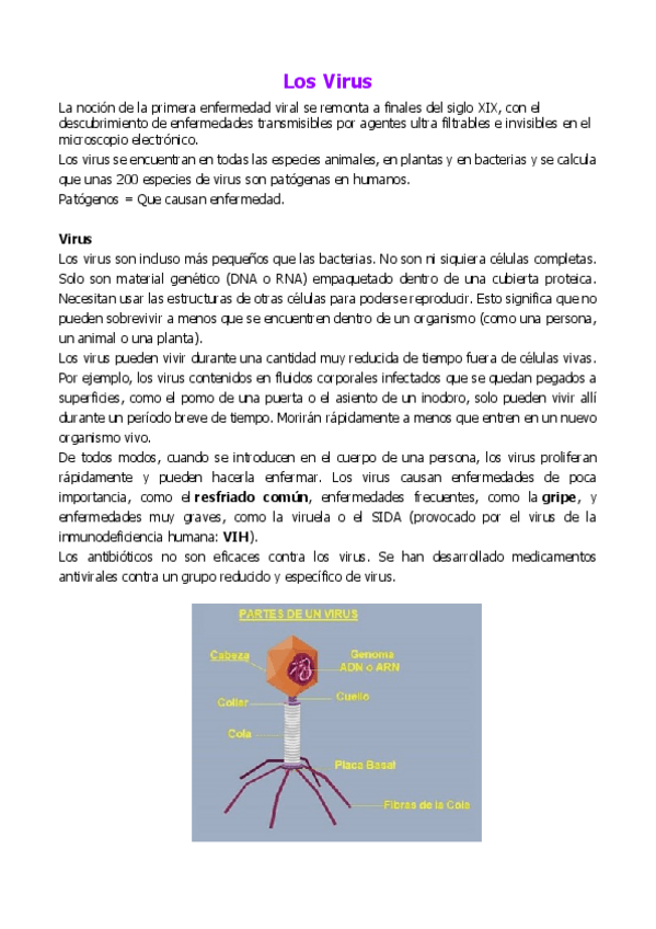 Miniatura del documento Los-Virus.pdf