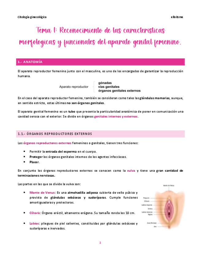 Miniatura del documento T1-GINE.pdf