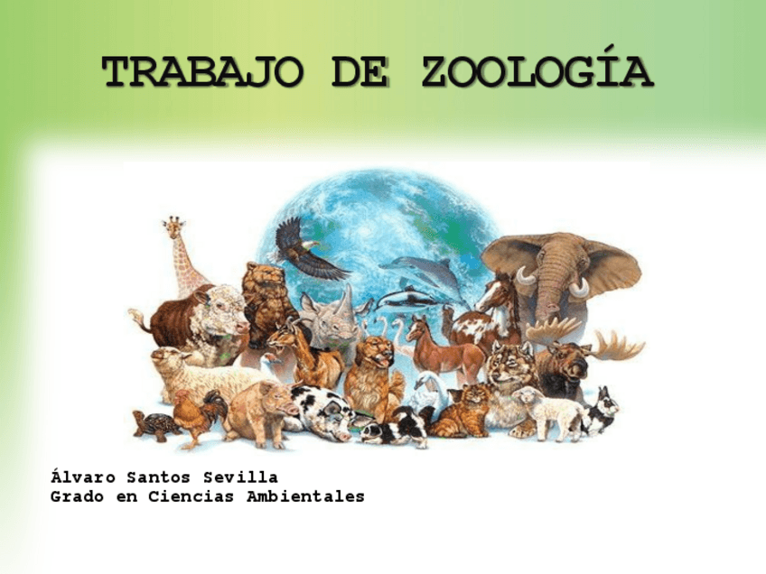 Miniatura del documento TRABAJO DE ZOOLOGÍA.pdf