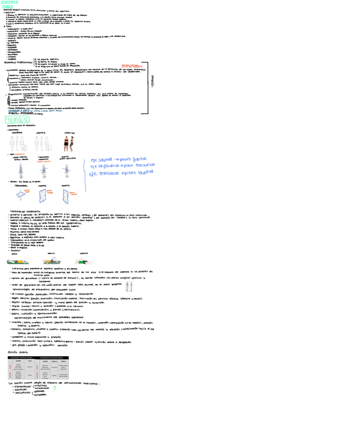 Miniatura del documento anatomia-temas-1-y-2.pdf