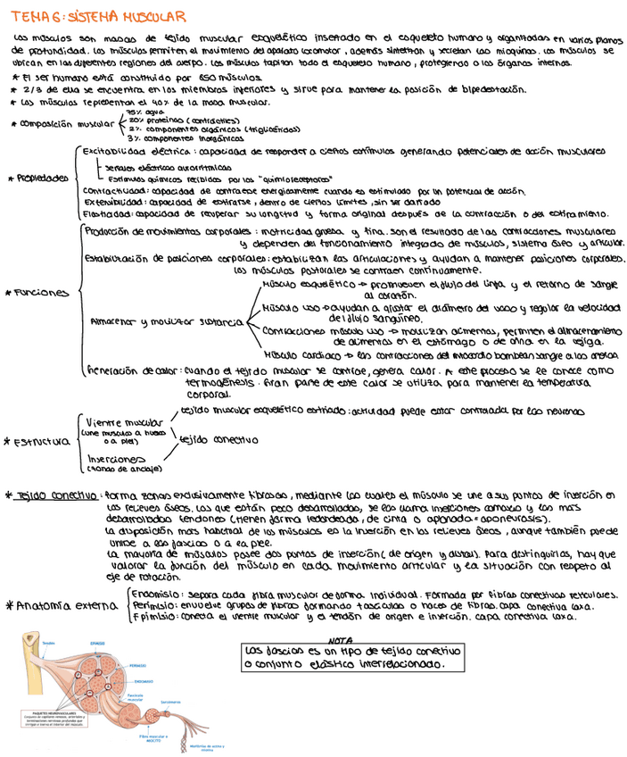 Miniatura del documento tema-6.pdf