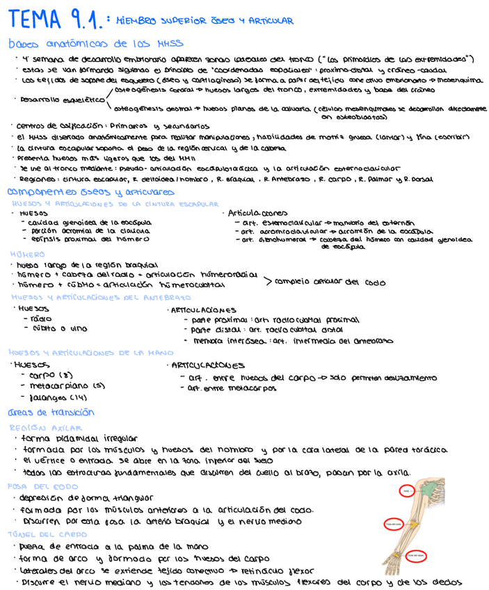 Miniatura del documento tema-9.pdf