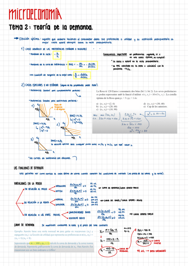 Miniatura del documento Teoria-De-La-Demanda-T2-Parcial.pdf