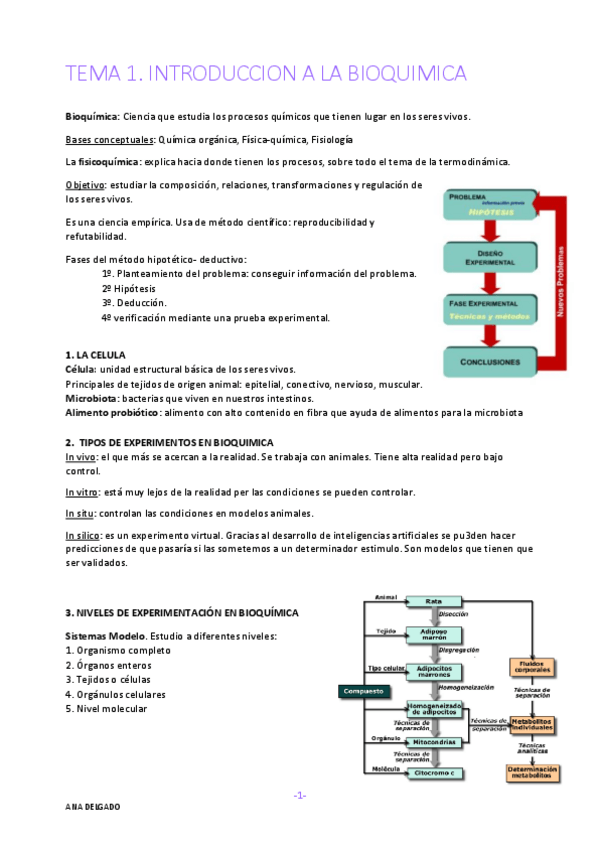 Miniatura del documento TEMA-1-1.pdf