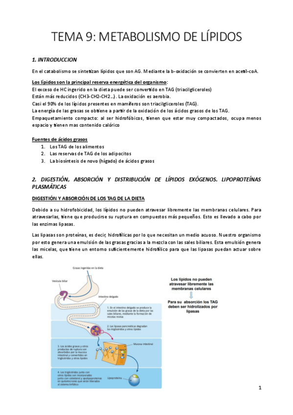 Miniatura del documento Tema-9.pdf