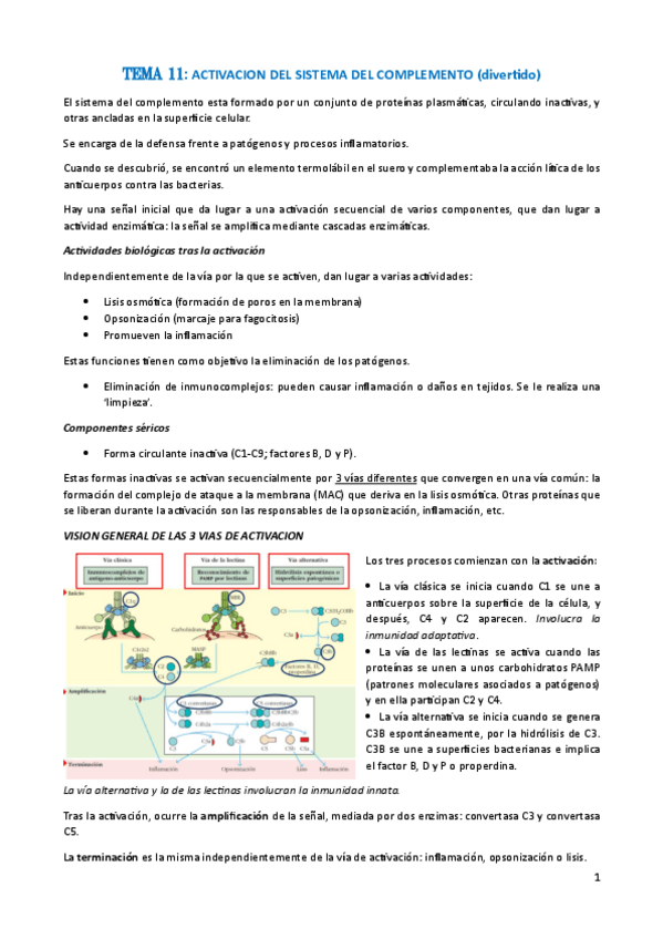 Miniatura del documento Tema-11.-activacion-del-sistema-del-C.pdf