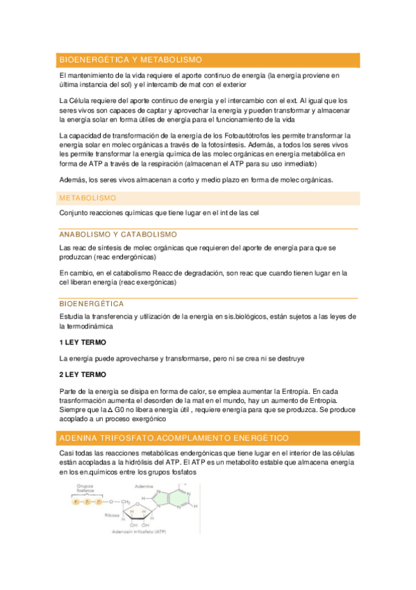Miniatura del documento APUNTES-TEMA-2-BIOENERGETICA-Y-METABOLISMO.pdf