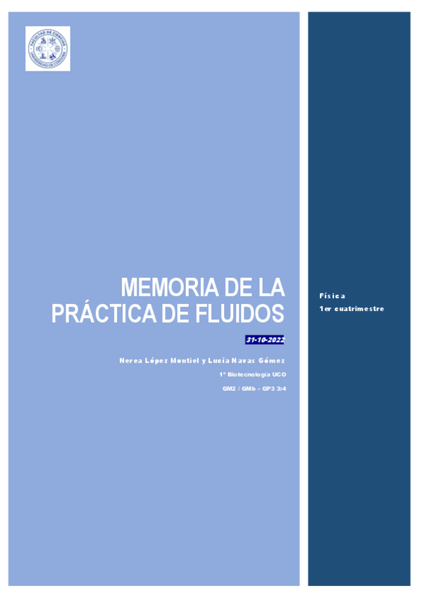 Miniatura del documento Memoria-Fluidos.pdf