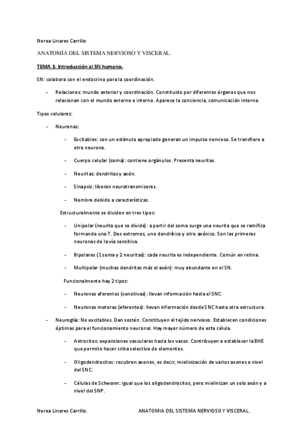 Miniatura del documento Apuntes-anatomia-SN-y-visceral..pdf