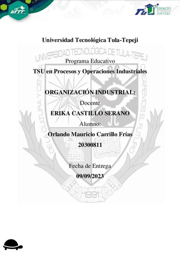 Miniatura del documento 1.0Enfoque-organizacionalOMCF.pdf