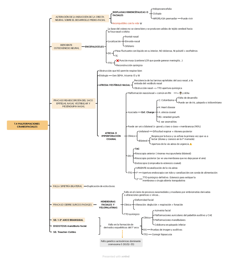 Miniatura del documento T.4-Malformaciones-craneofaciales.pdf