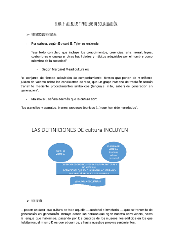 Miniatura del documento tema-2-sociologia-de-la-educacion-y-la-familia.pdf