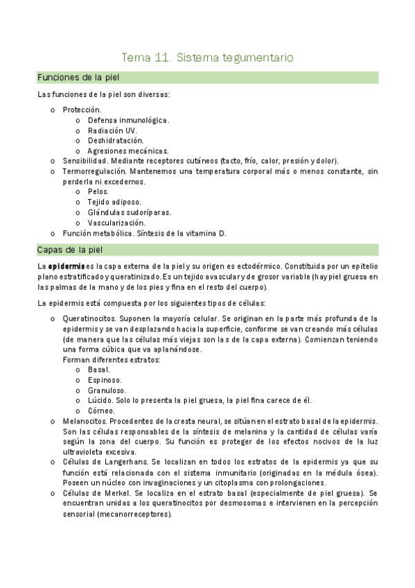 Miniatura del documento Tema-11.-Sistema-tegumentario.pdf