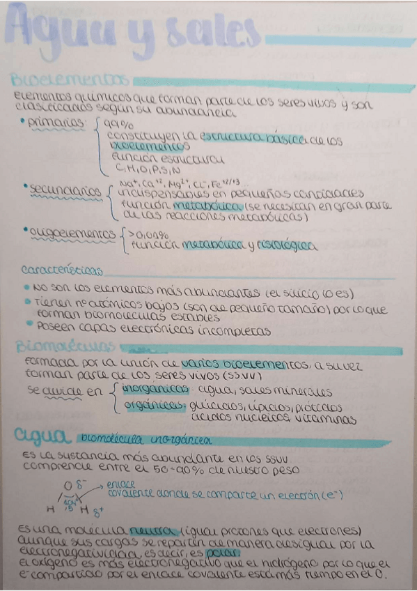 Miniatura del documento Bioelementos-parte1.pdf