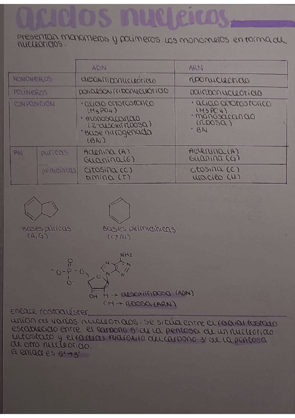 Miniatura del documento Bioelementos-parte-2.pdf