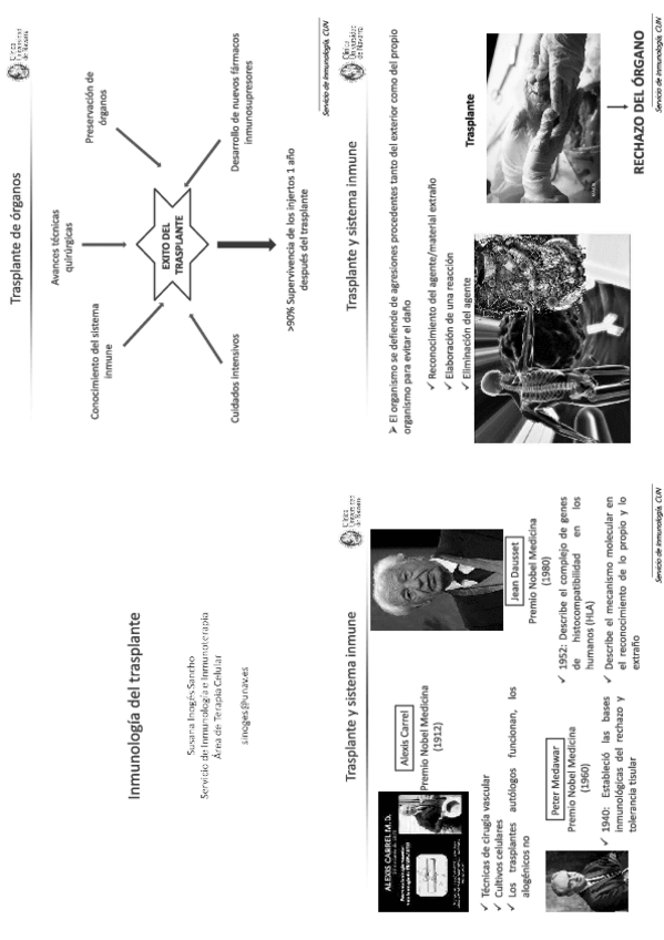 Miniatura del documento Apuntes.pdf