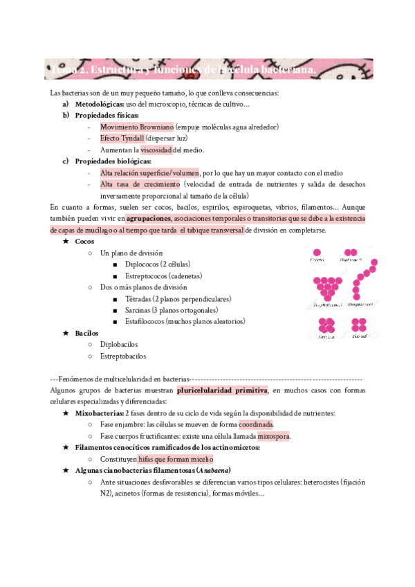 Miniatura del documento MICRO-TEMA-2-RESUMEN.pdf