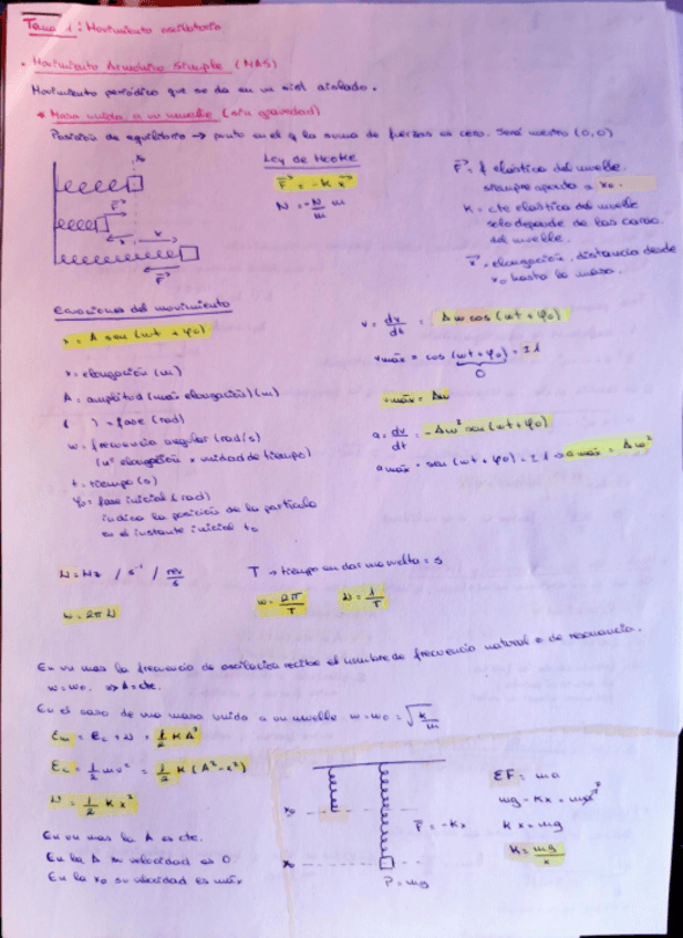 Miniatura del documento FISICA-APUNTES.pdf