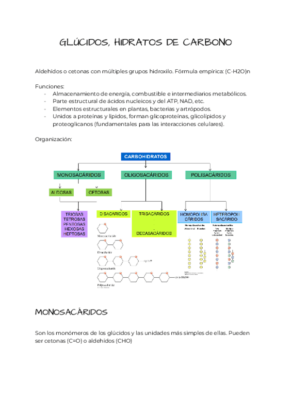 Miniatura del documento Bioquimica-estructural-B2-tema-4.pdf