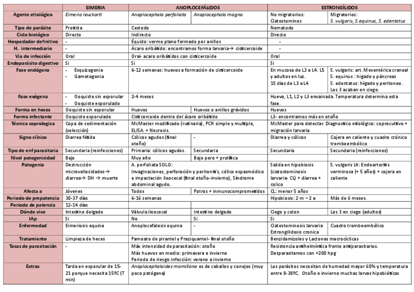 Miniatura del documento Cuadro-resumen-equidos.pdf
