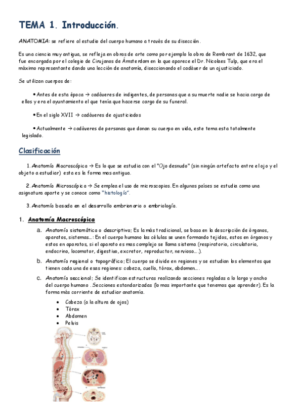 Miniatura del documento TEMA 1.pdf