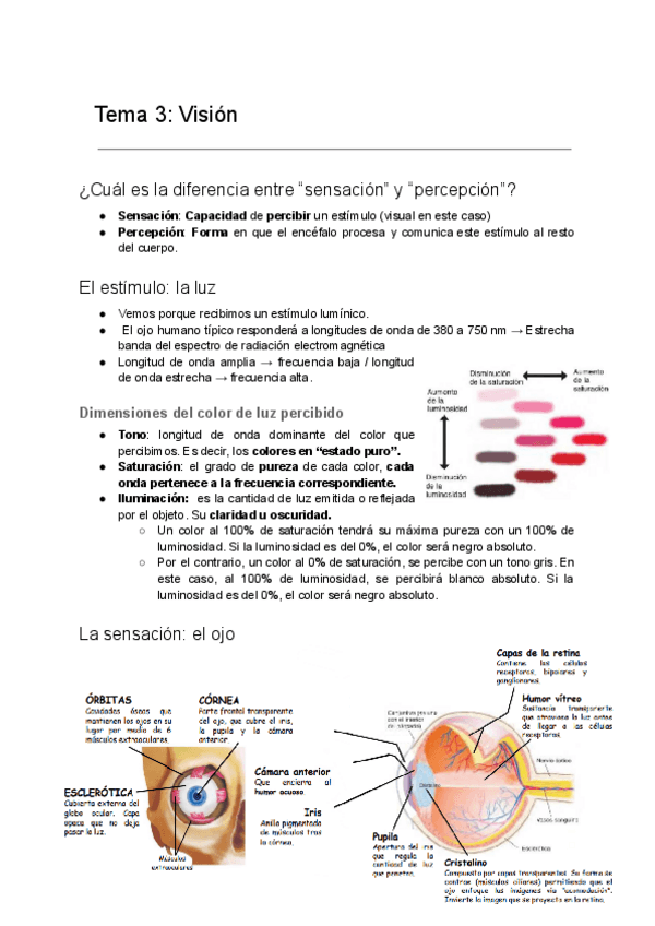 Miniatura del documento Tema-3-Vision-1.pdf