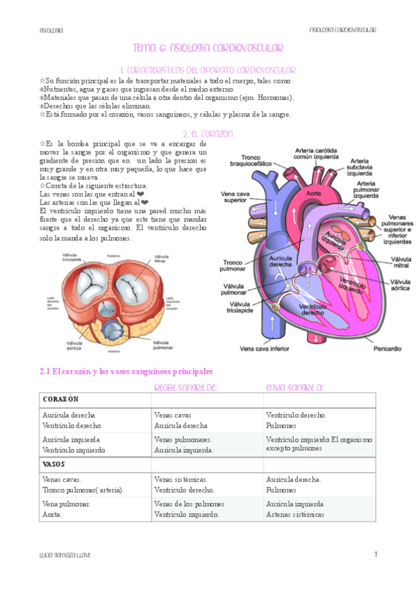 Miniatura del documento FISIOLOGIA-CARDIOVASCULAR.pdf