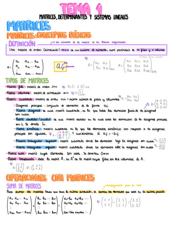 Miniatura del documento Tema-1-Matrices-determinantes-y-Sistemas.pdf