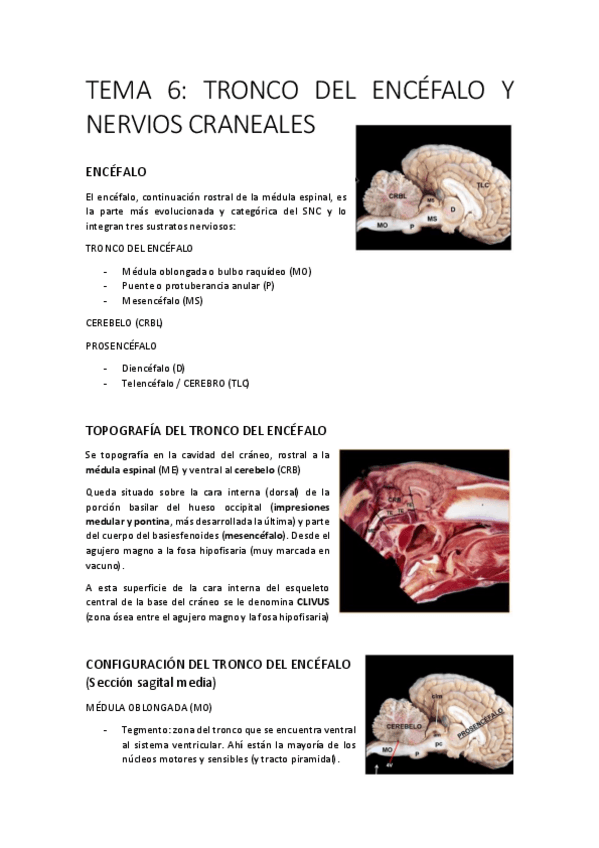 Miniatura del documento T6.pdf