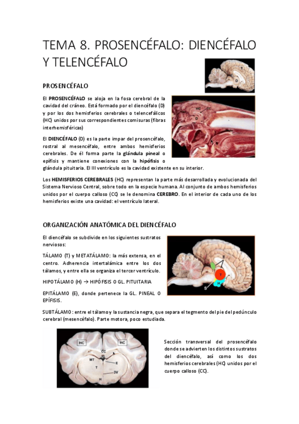 Miniatura del documento T8.pdf