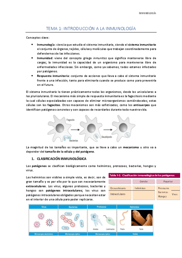 Miniatura del documento Apuntes-completos.pdf