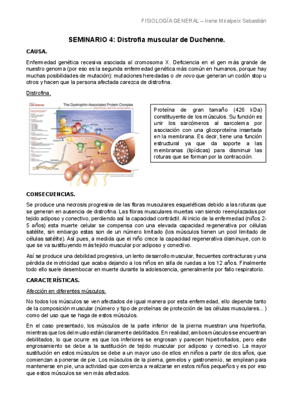 Miniatura del documento SEMINARIO-4-LIMPIO.pdf