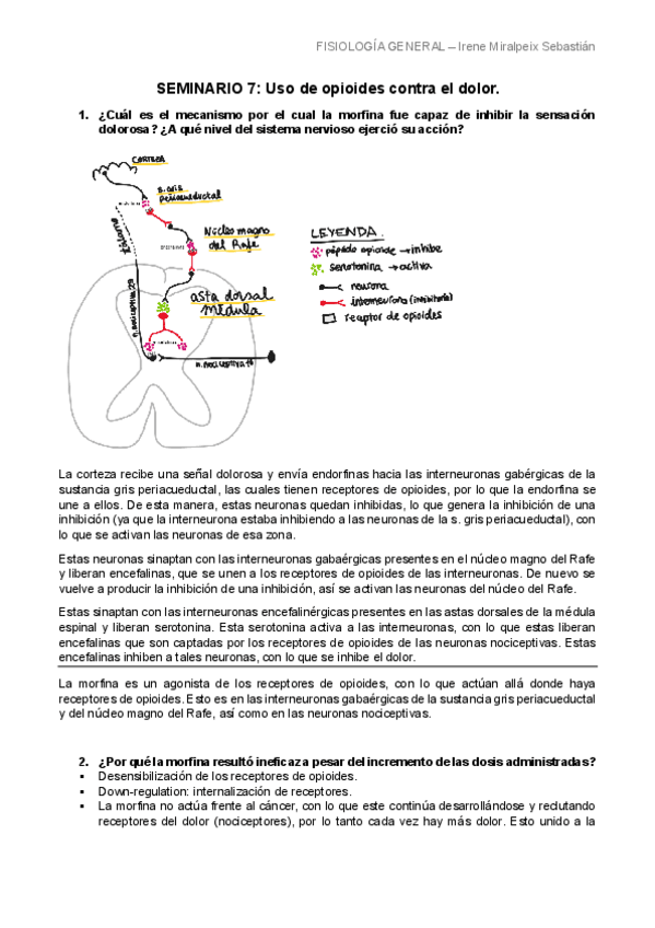 Miniatura del documento SEMINARIO-7-LIMPIO.pdf
