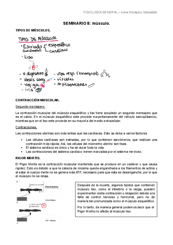 Miniatura del documento SEMINARIO-8-LIMPIO.pdf