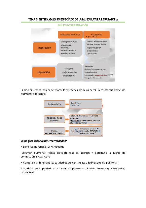 Miniatura del documento TEMA-3.pdf