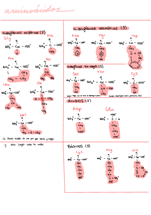 Miniatura del documento Esquemas-bioquimica.pdf