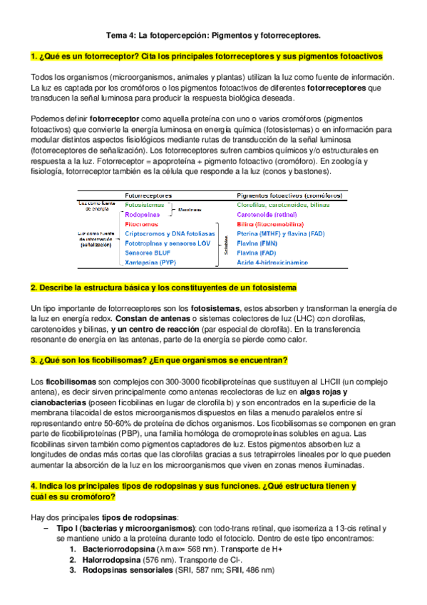 Miniatura del documento Tema 4.pdf