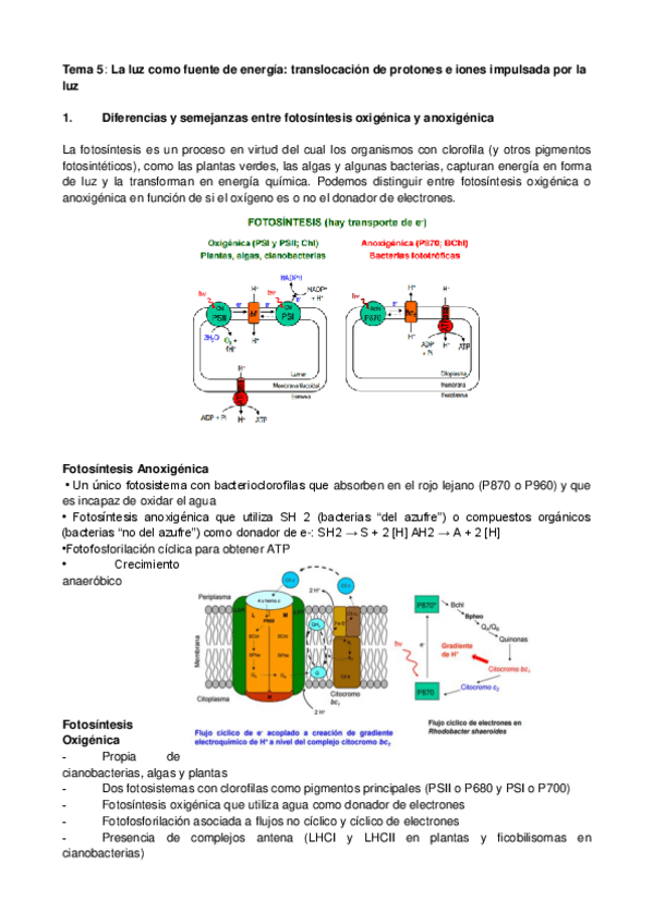 Miniatura del documento Tema5Foto.pdf